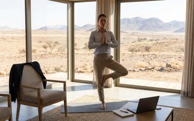 Healthy Habits for Busy Professionals in Namibia
