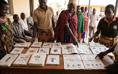 A Game of Monopoly in The Kingdom of Angola