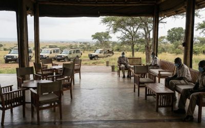 Loss of Activity and Jobs in the African Tourism and Travel Industry