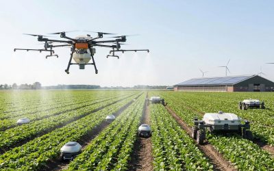 Smart Agriculture: How Technology is Revolutionizing Farming in Namibia